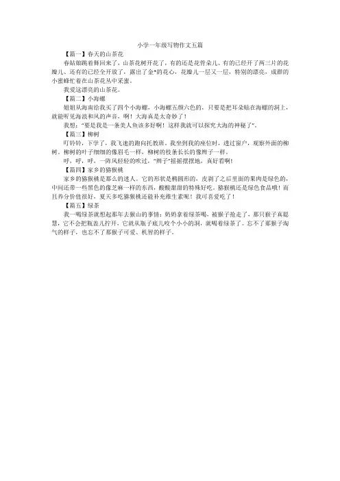 小学一年级写物作文五篇