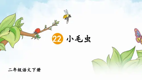 统编人教版二年级语文下册第22课《小毛虫》优秀课件