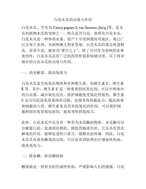 白花木瓜的功效与作用