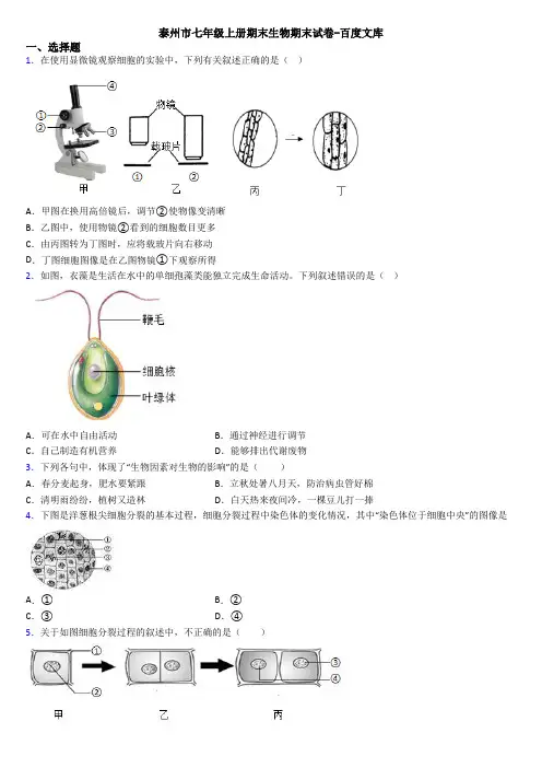 泰州市七年级上册期末生物期末试卷-百度文库