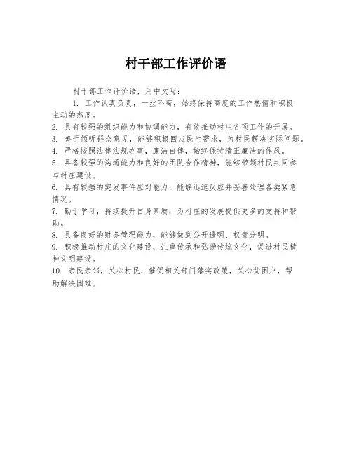 村干部工作评价语