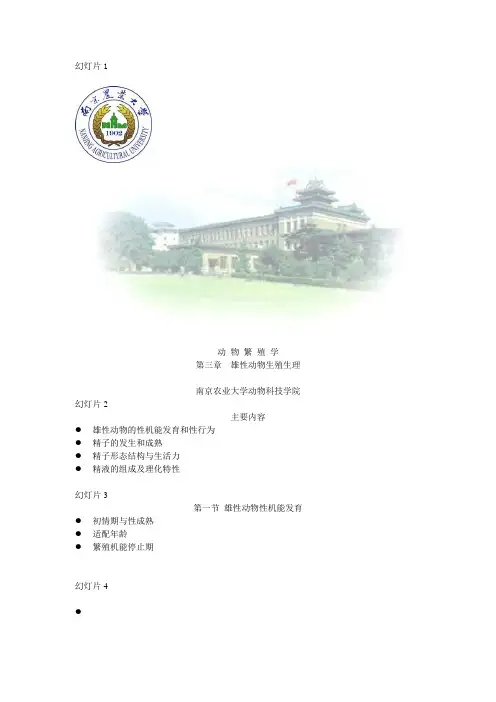 动物繁殖学第三章 雄性动物生殖生理