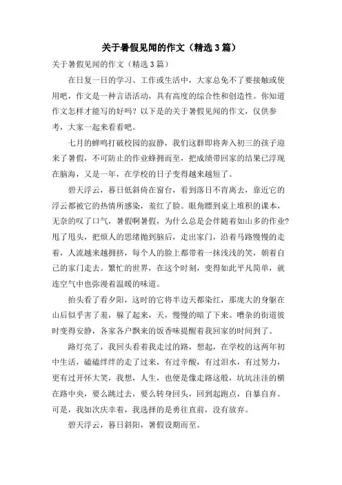 关于暑假见闻的作文(3篇)