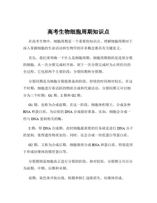 高考生物细胞周期知识点