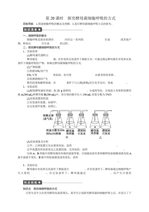 人教版高中生物必修一5.3探究本酵母菌细胞的呼吸方式