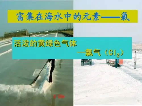 富集在海水中的元素——氯ying