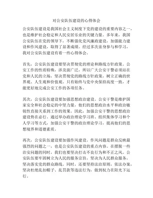 对公安队伍建设的心得体会