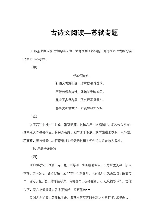 古诗文阅读-苏轼专题(含解析)
