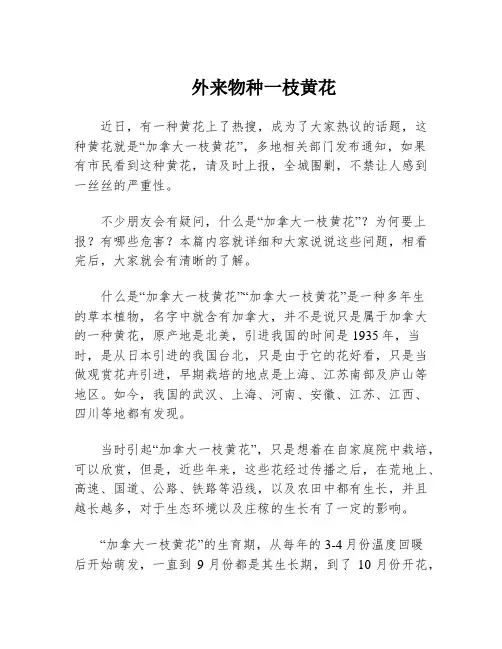 外来物种一枝黄花