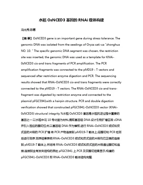 水稻OsNCED3基因的RNAi载体构建