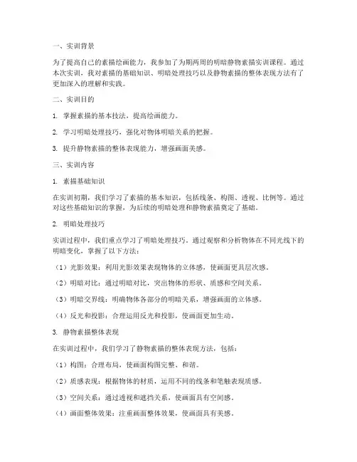 明暗静物素描实训报告