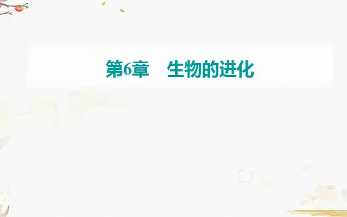 生物人教必修2第6章第2节  自然选择与适应的形成