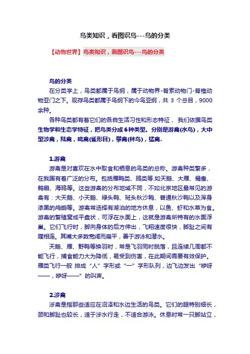 鸟类知识，看图识鸟---鸟的分类