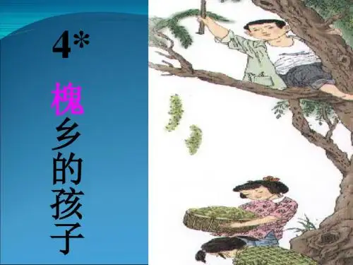 4.《槐乡的孩子》ppt课件