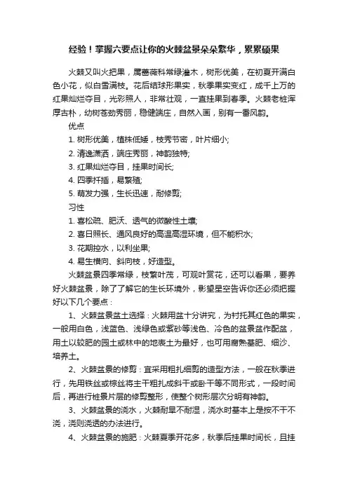 经验！掌握六要点让你的火棘盆景朵朵繁华，累累硕果
