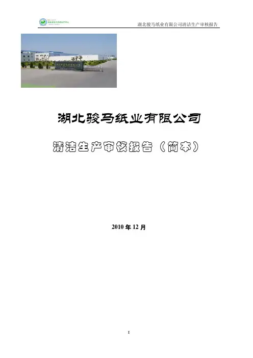 案例3-湖北骏马纸业有限公司清洁生产审核报告