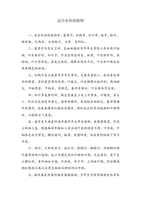 适合水培的植物