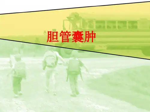 胆管囊肿课件PPT