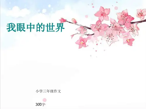 小学三年级作文《我眼中的世界》300字(共17页PPT)精品PPT课件