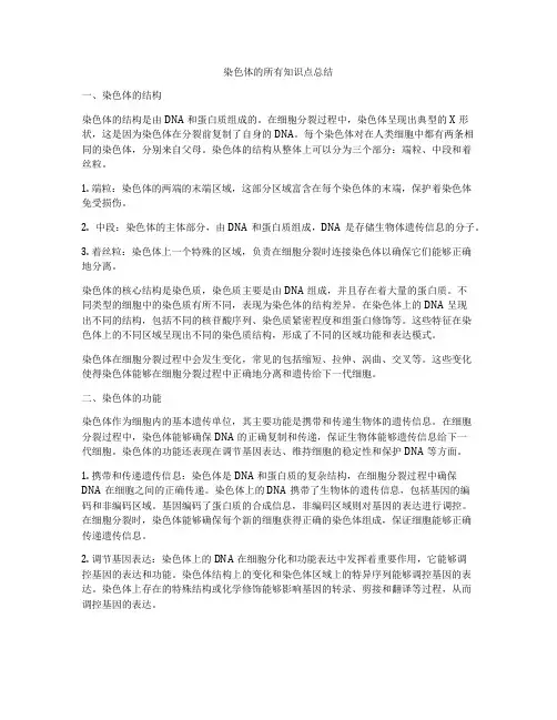 染色体的所有知识点总结