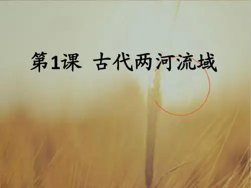 高一历史上华师大版课件：古代两河流域 3 精品