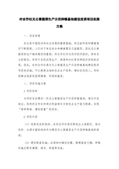 村合作社无公害蔬菜生产示范种植基地建设投资项目实施方案