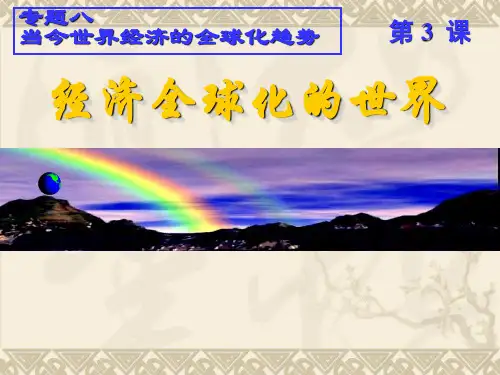 高中历史必修二《专题八当今世界经济的全球化趋势三经济全球化的世界》27人民版PPT课件