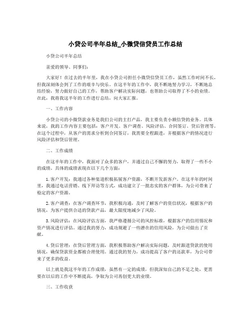 小贷公司半年总结_小微贷信贷员工作总结
