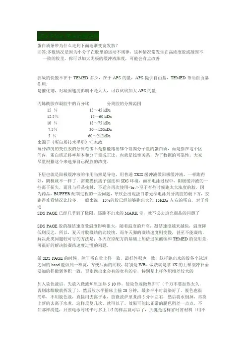SDS-PAGE电泳常见问题