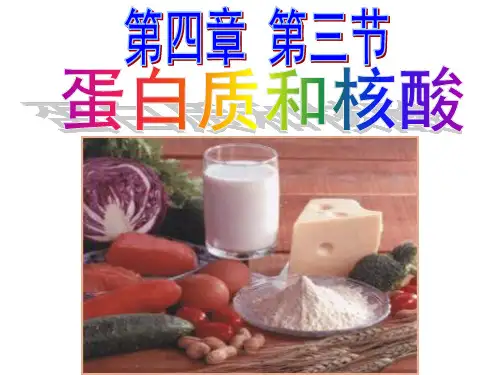 人教版高中化学选修5蛋白质和核酸PPT(57页)