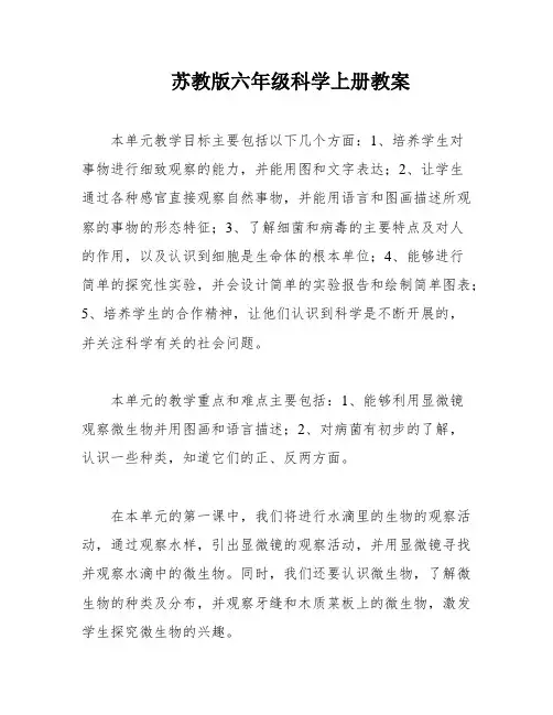 苏教版六年级科学上册教案