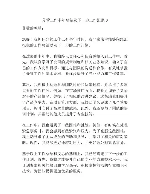 分管工作半年总结及下一步工作汇报0
