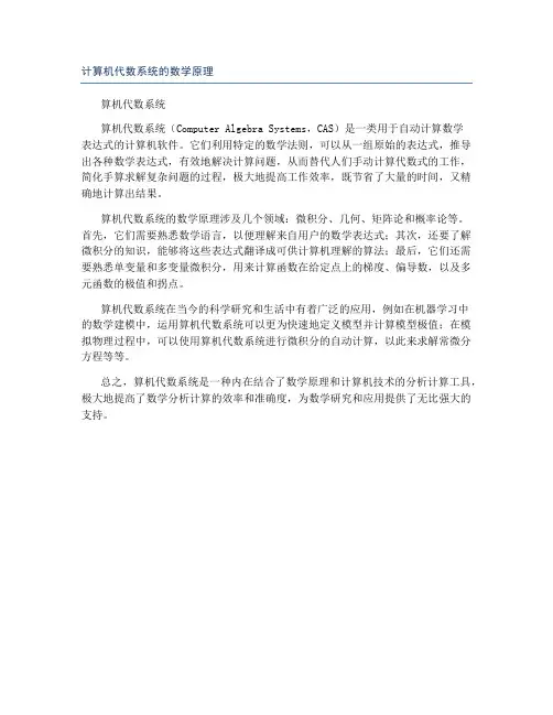 计算机代数系统的数学原理