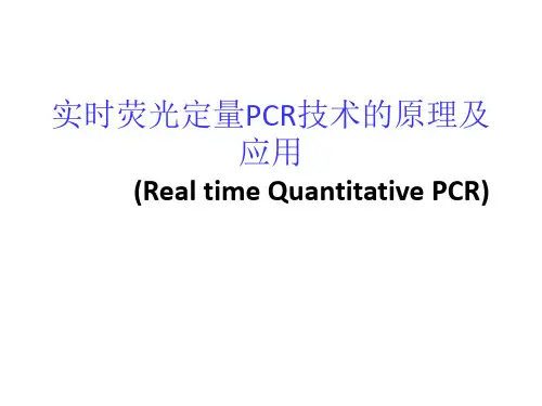 《荧光定量PCR》幻灯片PPT
