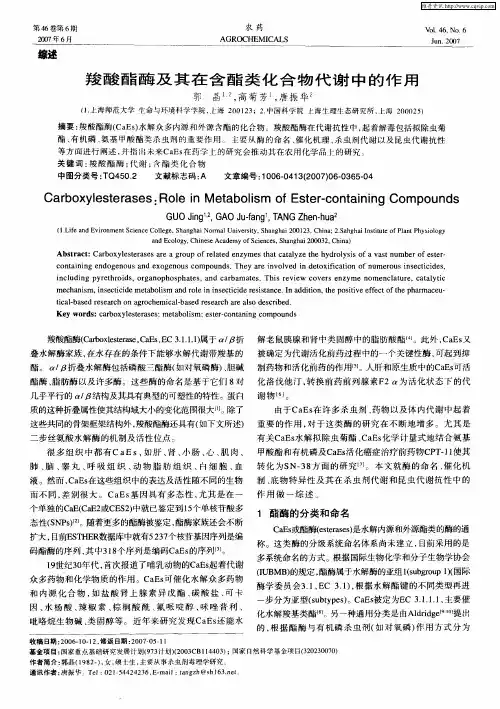 羧酸酯酶及其在含酯类化合物代谢中的作用