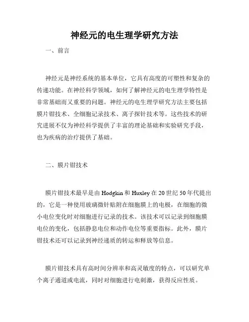 神经元的电生理学研究方法