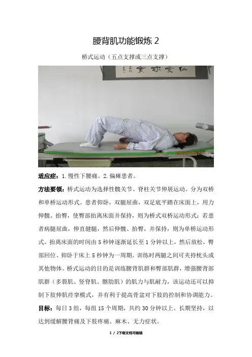 腰背肌功能锻炼2-桥式运动(五点支撑)