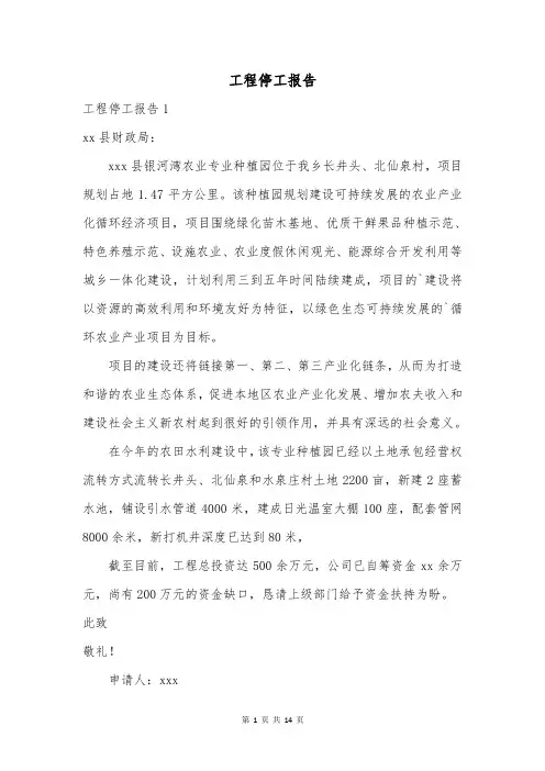 工程停工报告