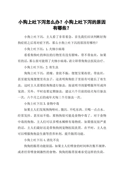 小狗上吐下泻怎么办？小狗上吐下泻的原因有哪些？
