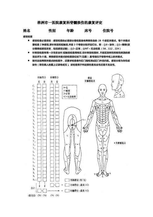 脊髓损伤评定表23120
