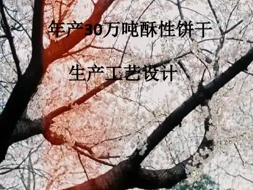 酥性饼干生产工艺设计