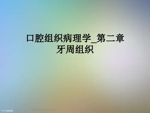口腔组织病理学-第二章牙周组织