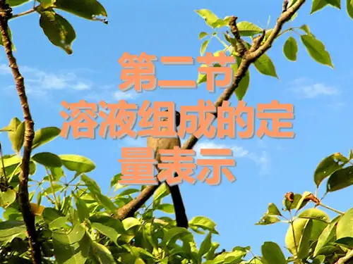 鲁教版九年级上册化学 3.2 溶液组成的定量表示 课件 (共14张PPT)