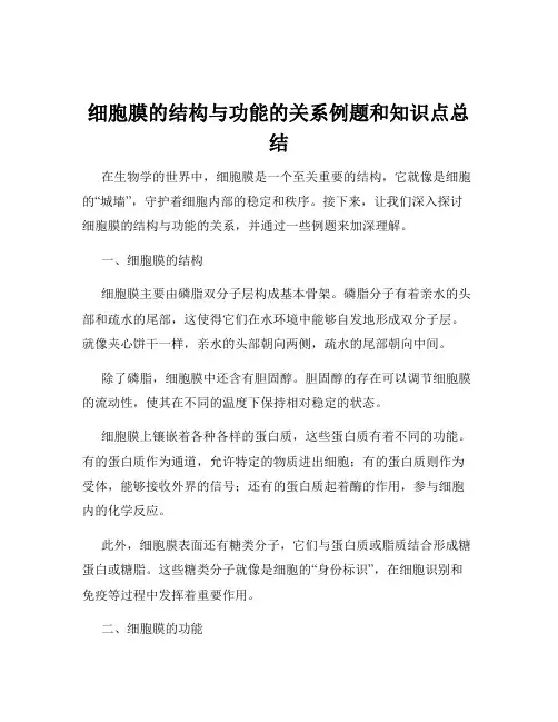 细胞膜的结构与功能的关系例题和知识点总结