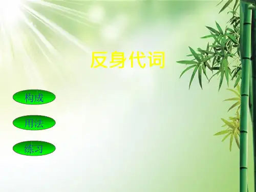 反身代词ppt课件