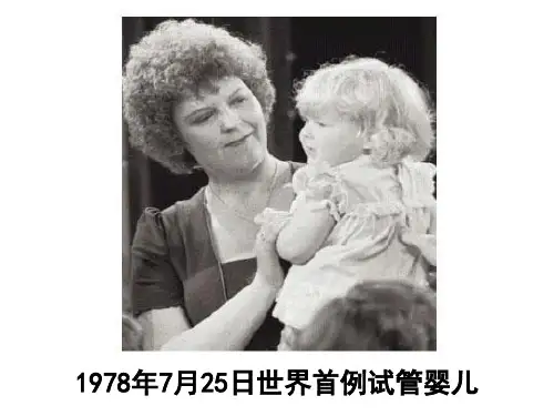 体外受精和早期胚胎发育概述ppt课件