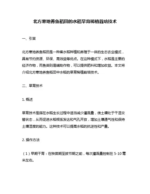 北方寒地养鱼稻田的水稻旱育稀植栽培技术