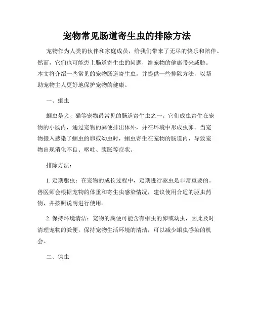 宠物常见肠道寄生虫的排除方法