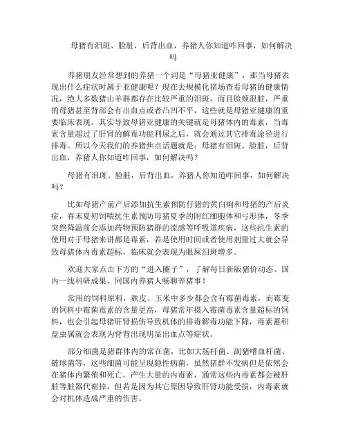 母猪有泪斑、脸脏,后背出血,养猪人你知道咋回事,如何解决吗