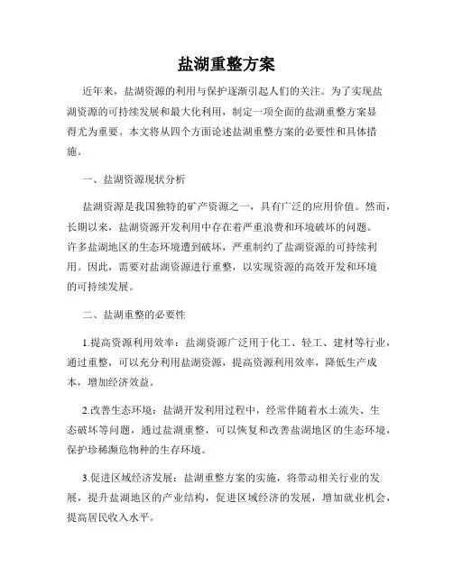 盐湖重整方案